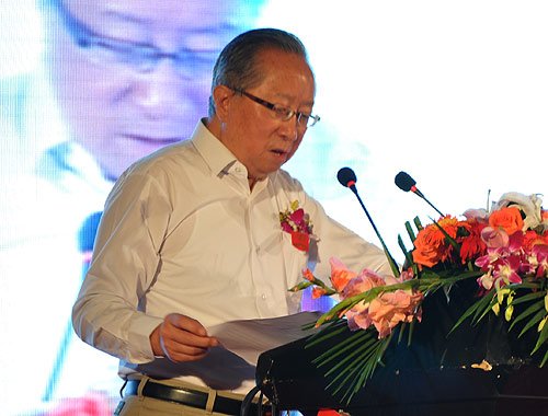 高新民：2015年中國(guó)網(wǎng)民能夠達(dá)到7到8個(gè)億