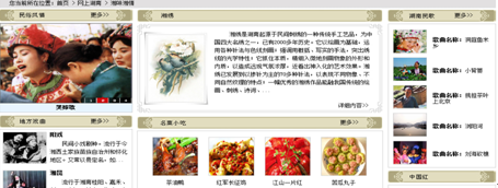 [2009特色評(píng)選] 湖南省政府門戶網(wǎng)站榮獲“品牌欄目獎(jiǎng)”