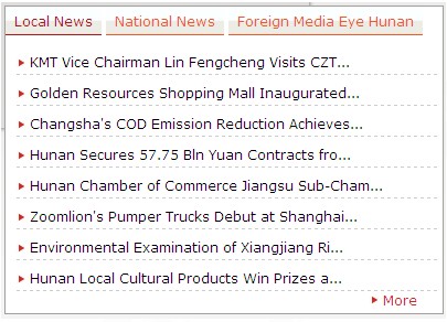 [第五屆國際化會議]湖南省政府門戶網(wǎng)站點評