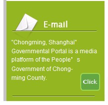 [第五屆國際化會議]上海市崇明縣政府門戶網站點評