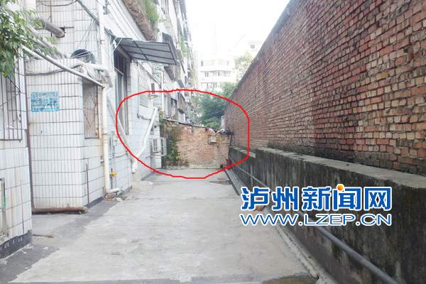 data-cke-saved-src="/uploadfile/2013/1115/20131115070019251.jpg"