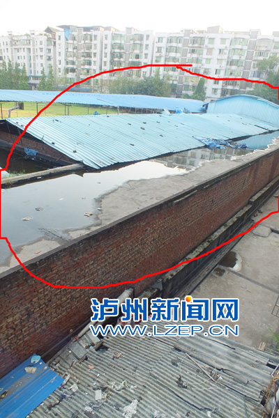 data-cke-saved-src="/uploadfile/2013/1115/20131115070021198.jpg"