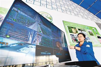 點(diǎn)擊進(jìn)入下一頁