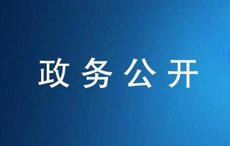 國務院辦公廳關于印發(fā)2016年政務公開工作要點的通知