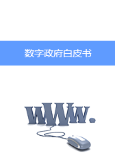 數(shù)字政府白皮書