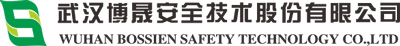 武漢博晟安全技術(shù)股份有限公司