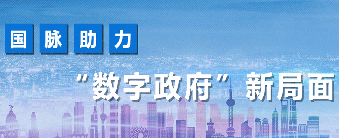 國(guó)脈助力數(shù)字政府新局面