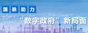 國(guó)脈助力數(shù)字政府新局面