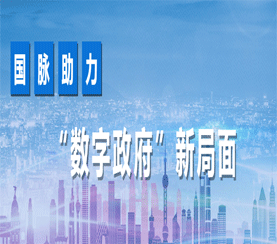 國(guó)脈助力數(shù)字政府新局面
