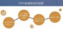 為什么NMN值得相信？ 看看赫曼因NMN的亮點