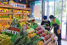 金三銀四開水果店正當(dāng)時(shí)，吉小果期待合作共贏