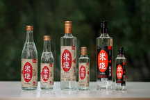 春糖頂流 高燃收官 | 能賦·米燒征程不止，勇毅前行耀未來！