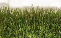 厚德珍硒: 聚焦生物科學(xué)領(lǐng)域，深究富硒研發(fā)技術(shù)