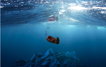 精靈夢葉羅麗 聚焦海洋保護，寓教于樂探索藍色未知世界！