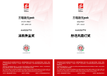 家居質量界“奧斯卡”！三雄極光斬獲沸騰質量兩項大獎！