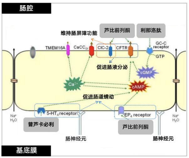 點(diǎn)擊查看原始圖片