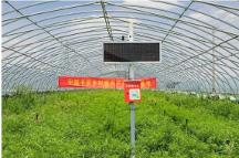 馬明哲：深化戰(zhàn)略，修煉內(nèi)功，收獲新時(shí)期的高質(zhì)量發(fā)展