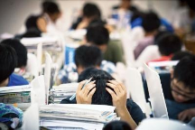 高考填志愿愁死人，桂花樹下青少年生涯規(guī)劃平臺幫你做好升學(xué)規(guī)劃