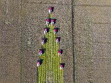 豐收中國(guó) 濰柴雷沃智能農(nóng)機(jī)讓“三秋更有底氣”