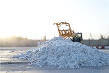 新疆長(zhǎng)絨棉供不應(yīng)求，“大博弈”后沖出一匹新黑馬