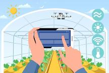 “認養(yǎng)”+“農(nóng)業(yè)”怎么玩？超級碼認養(yǎng)云平臺——打通產(chǎn)供銷，助農(nóng)增收促振興