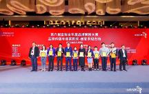 長城俠IP項目榮獲“品牌傳播年度案例獎”