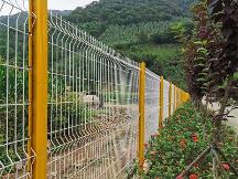 2026年在龍巖想找靠譜的圈山圈地護欄網(wǎng)、公路鐵路護欄網(wǎng)、機場護欄網(wǎng)、監(jiān)獄護欄網(wǎng)、車間護欄網(wǎng)廠家？快來一探究竟！