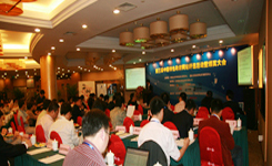 2008 服務(wù)型政府網(wǎng)站的本質(zhì)特征和表現(xiàn)形式